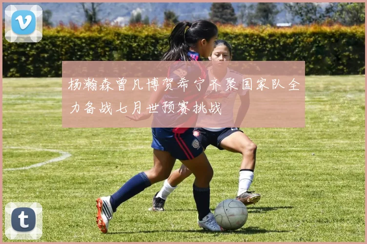 杨瀚森曾凡博贺希宁齐聚国家队全力备战七月世预赛挑战
