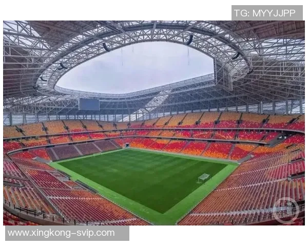 重庆铜梁龙明年主场将落户龙兴足球场正式确定